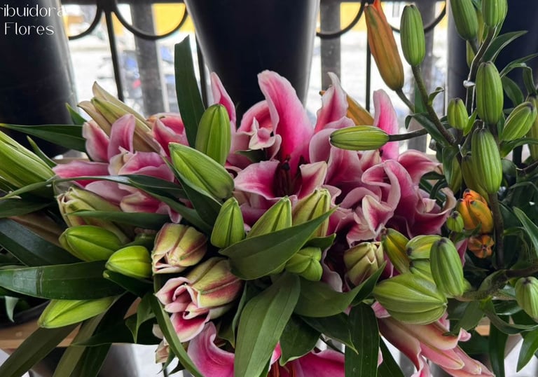 distribuidores de flores pereira