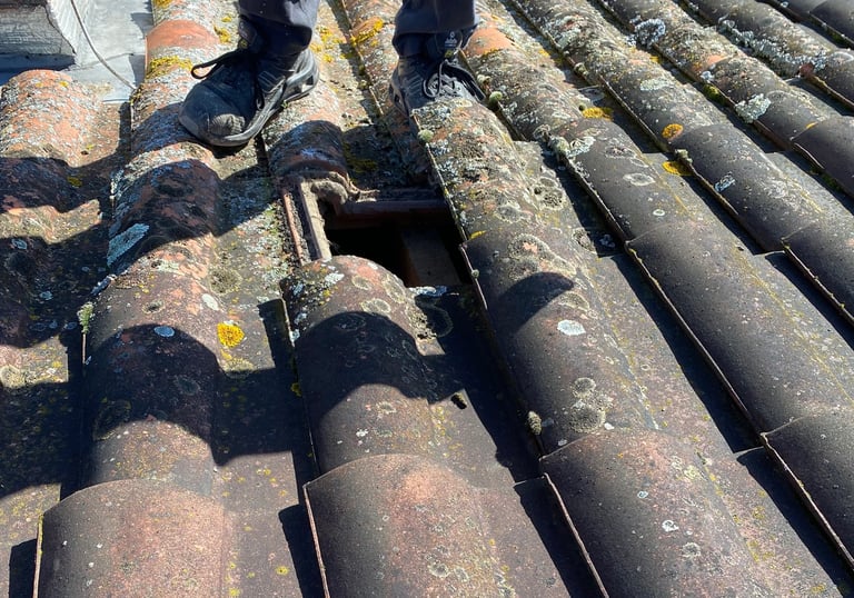 changement d'une tuile cassée