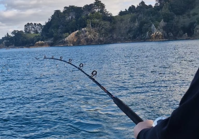 May your rod bend and fish be wholesome with Auckland Fishing Charters