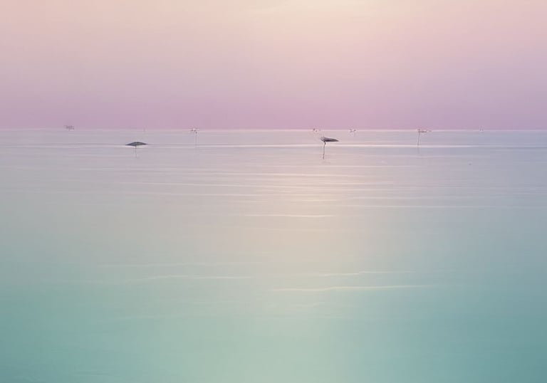 therapy for stress and overwhelm, burnout. coping strategies, reducing anxiety and panic attacks