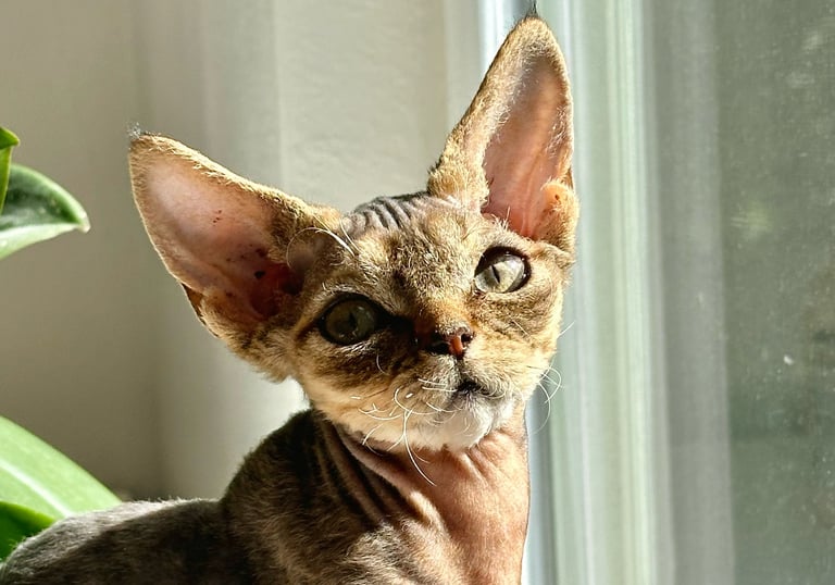 Lyubov sitting on a window sill