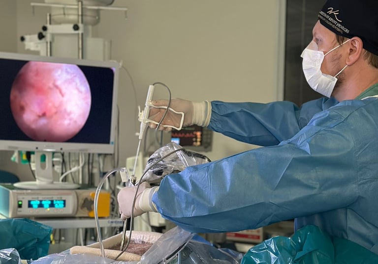 Cirurgia Endoscópica