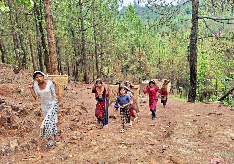 Young girls in the forest to pick fruits