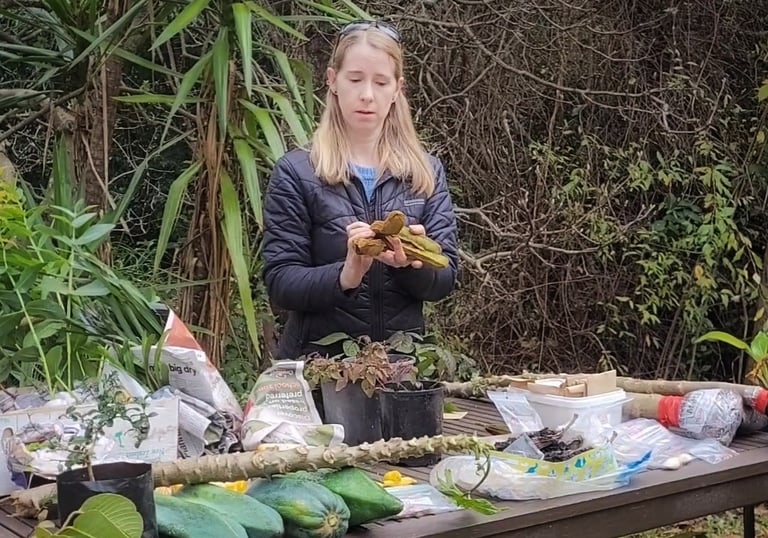 food forest workshop