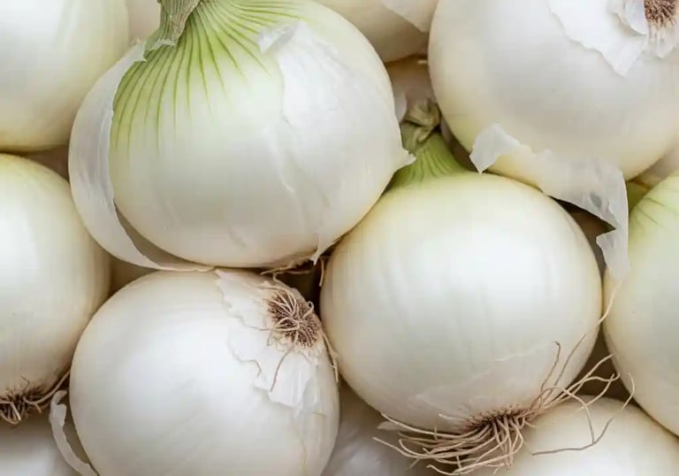 fresh white onion
