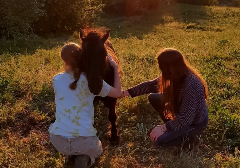 two women are sitting on a hill and hugging a horse at sunset