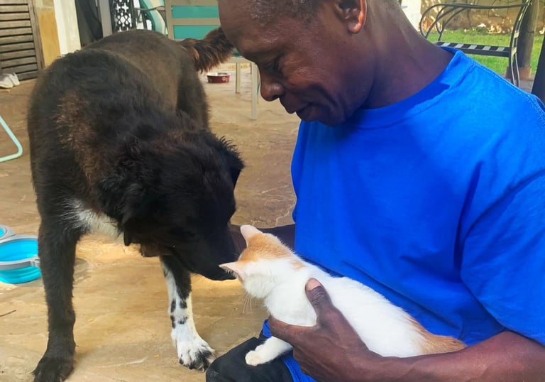 AAK farm manager is hanging out with animals