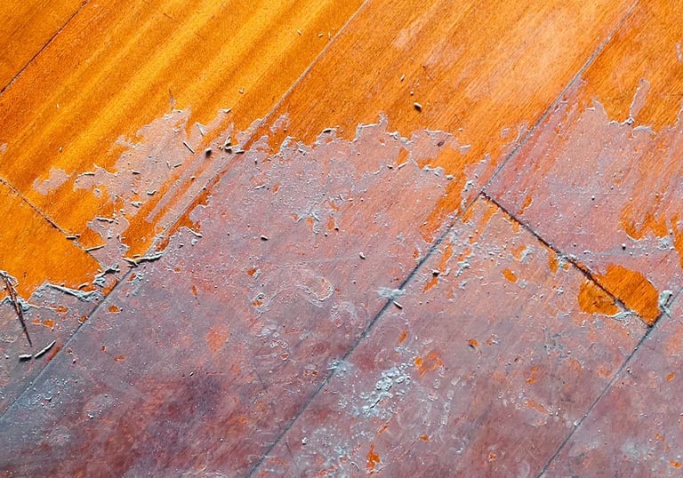 LIMPEZA E REVITALIZAÇÃO DE BRILHO