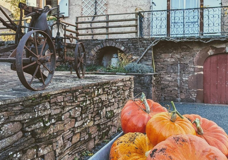 Des citrouilles dans une brouettes
