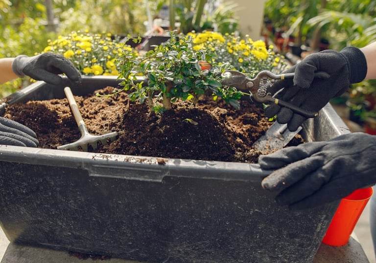 coaching en jardinage