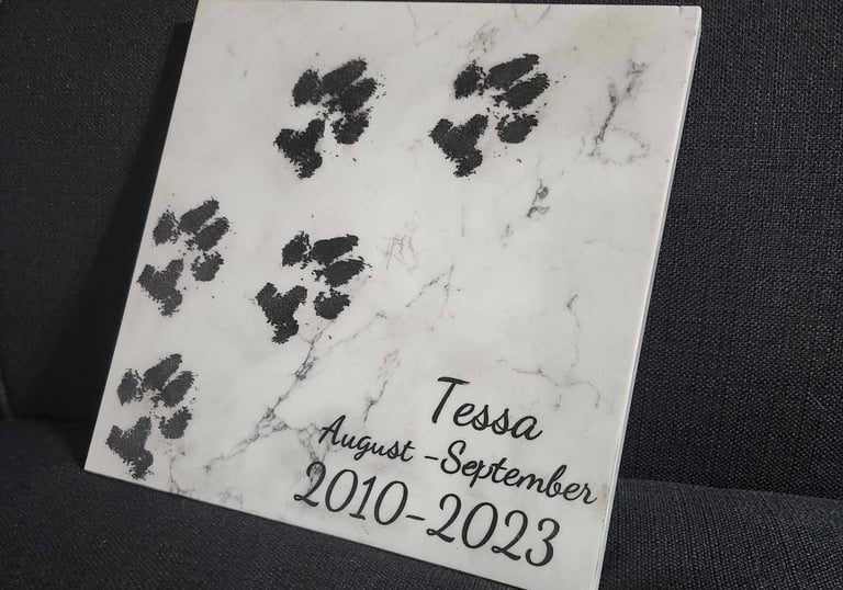Dog paw prints