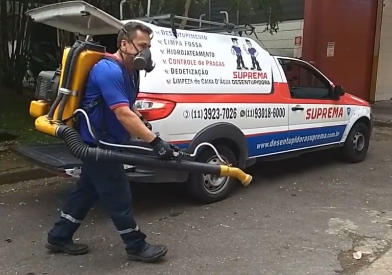 dedetização
