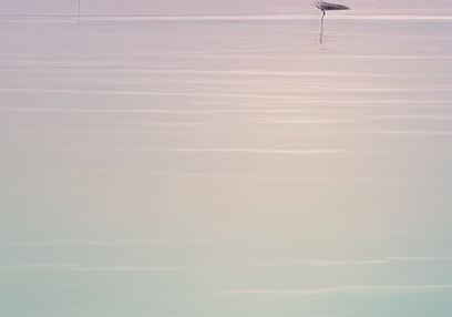 therapy for stress and overwhelm, burnout. coping strategies, reducing anxiety and panic attacks