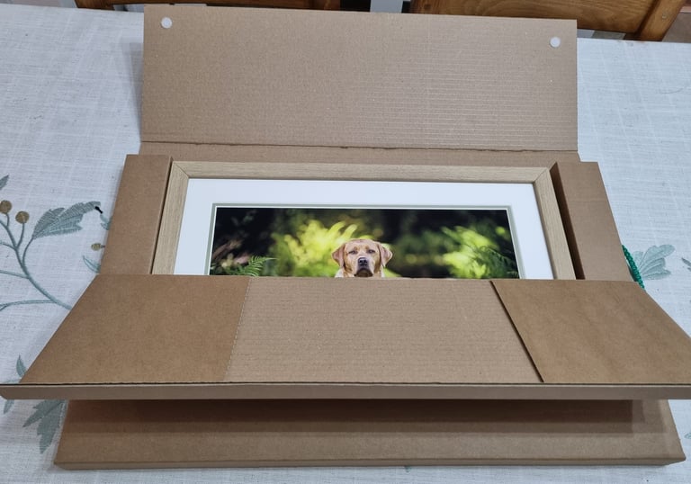 LokiPawtraits - Framed A3 pet photo.  #lokipawtraits Loki Pawtraits