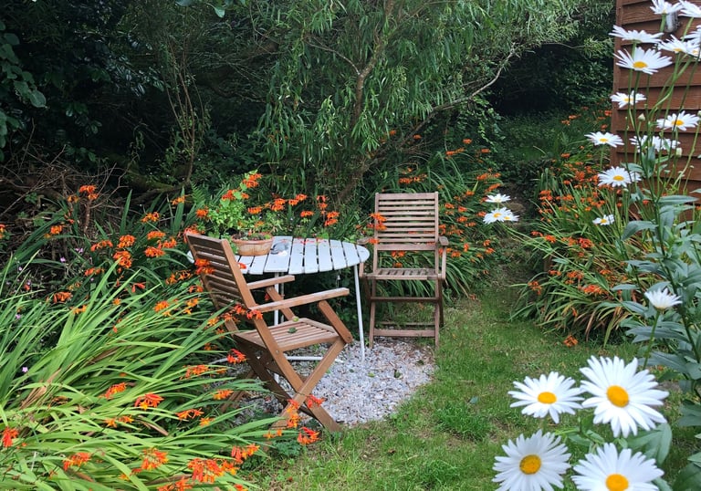 2 garden chairs around a table in a garden with orange flowers and white daisies