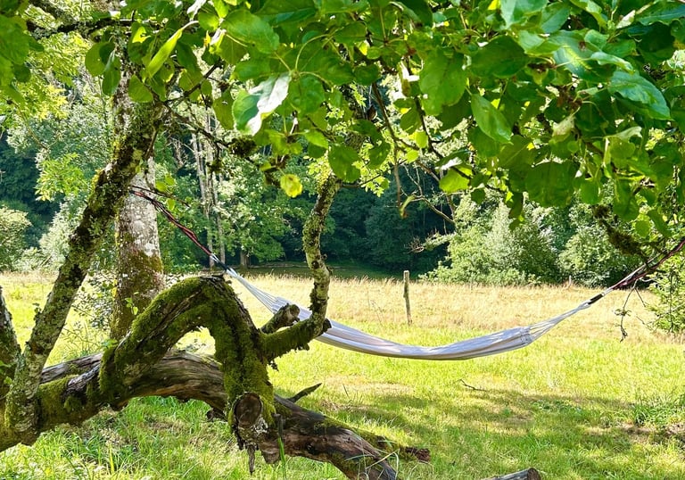 Pause hamac relaxante dans la nature pour se ressourcer dans les Vosges