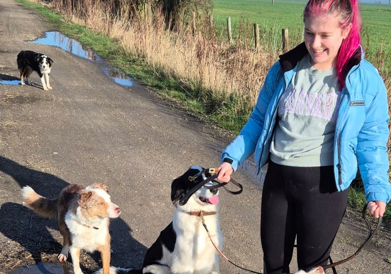 dog walker Doncaster