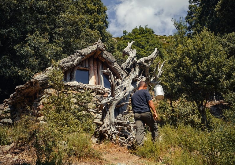 Stone and juniper shelter in Ogliastra, Sardinia, surrounded by Mediterranean nature.