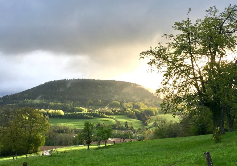 Montagnes vosgiennes. Paysage nature des Vosges.