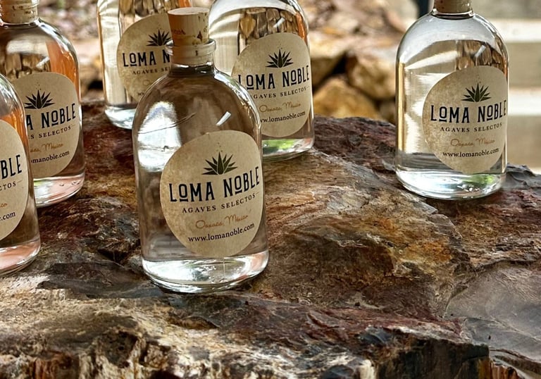 a group of bottles of liquor in a tree stump