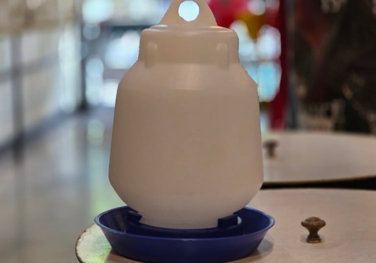 Dispenser agua y tolva alimento para aves