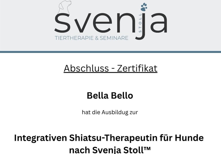 Ein Bild von einem Abschlusszertifikat