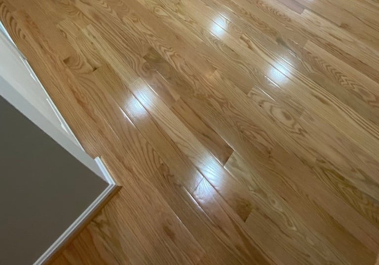 Small bedroom with newly refinished hardwood floors, gray walls, and single window