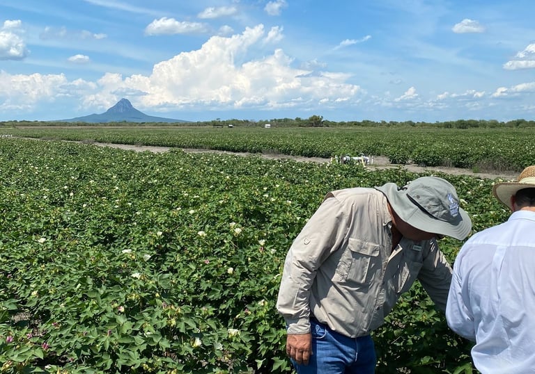 two men in hats and hats standing in a field