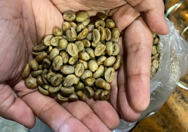 High quality Indonesian spices and beans sourced sustainably from farmers