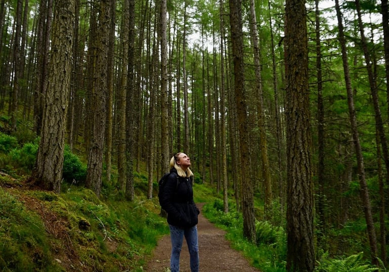 Coach Moll in a forest looking up at the trees