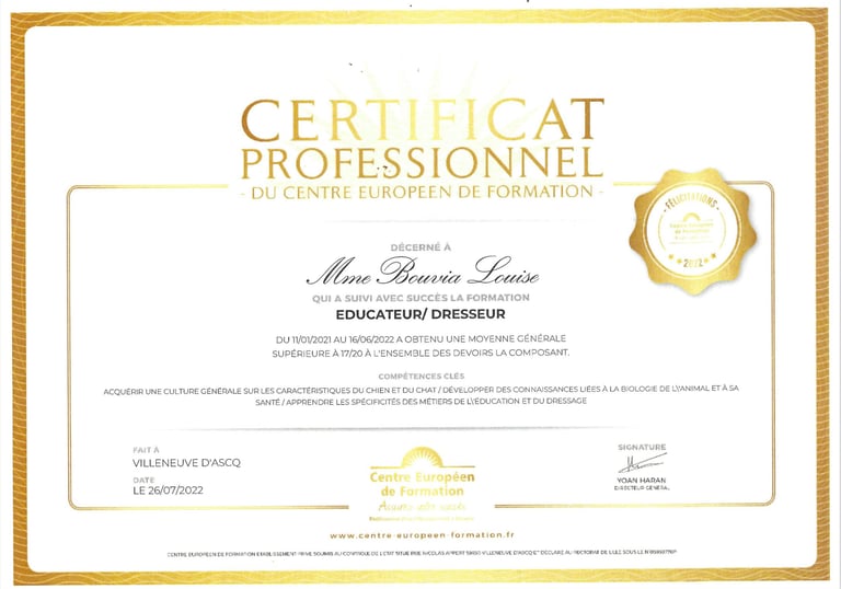 Certificat professionnel éducateur dresseur