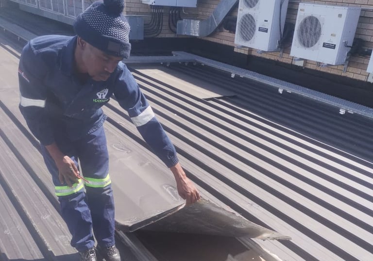 IBR roof inspection West Rand