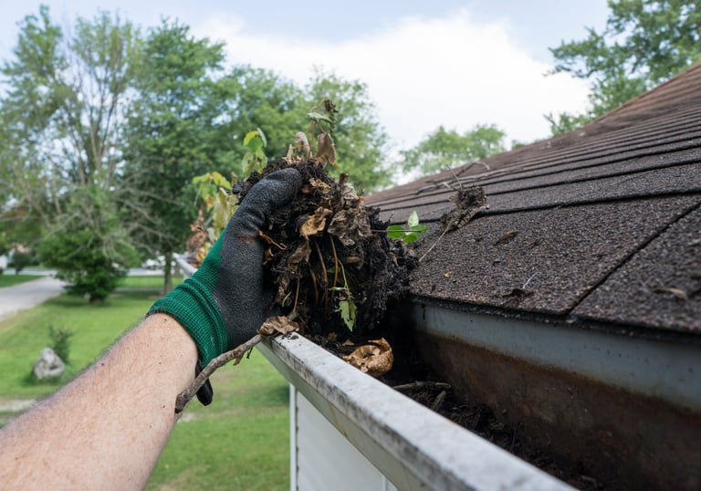 cleaning and sealing gutters in alva