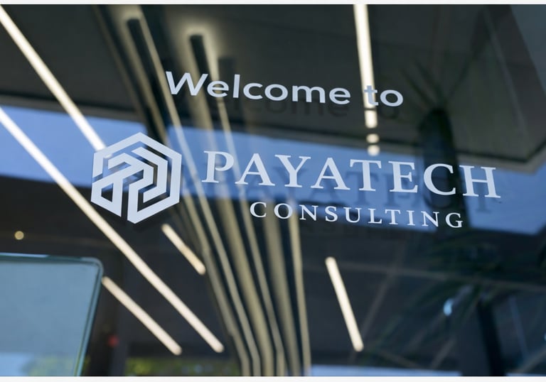 Payatech Consulting, founder Sanaz Ahmadi