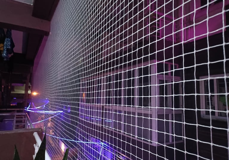 A technician carefully installing a pigeon safety net on a Basavanagudi balcony.