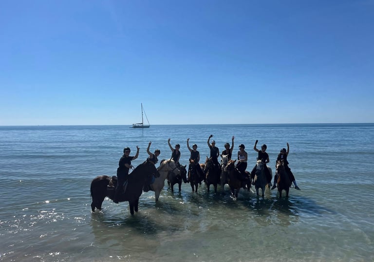 sortie a la mer avec les chevaux
