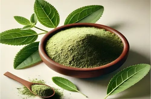 Extrait de Feuille de Maté Vert