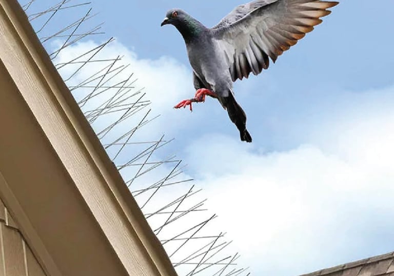 Technician carefully installing bird spikes on a balcony railing in Bangalore.