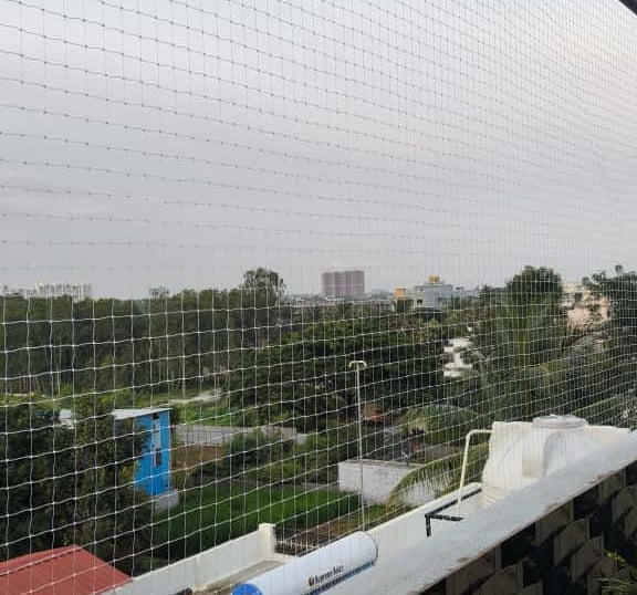 Wide shot showing a large window covered with a neatly fitted anti-pigeon net.