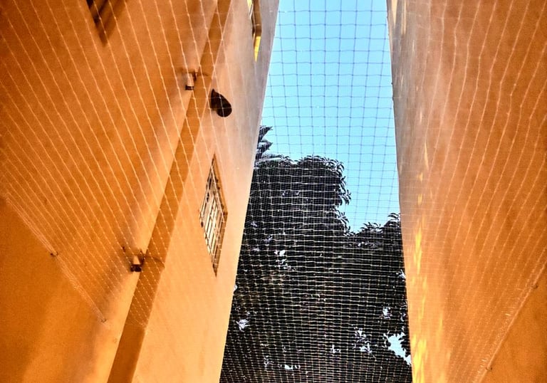 Wide shot of an apartment building with anti-pigeon nets installed on all balconies.
