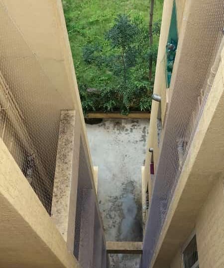 View of a rooftop secured with anti-pigeon nets preventing bird entry.