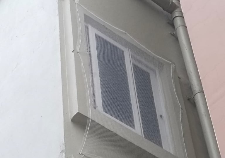 Close-up of a securely installed cat safety net on a window frame.