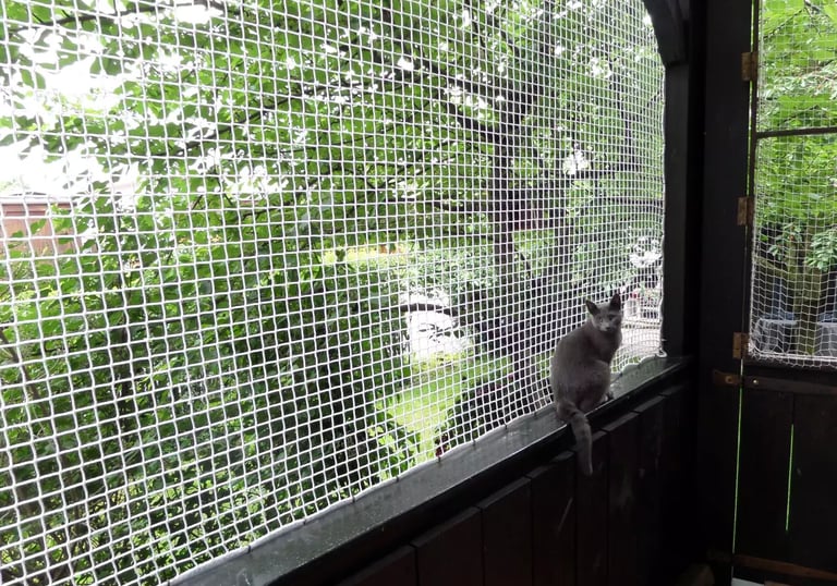 Wide shot of an apartment balcony fully covered with a neat and strong safety net.