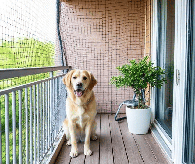 pet safety nets in mira road for balconies in mumbai