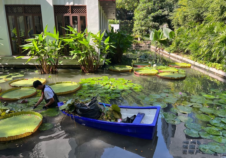 การทำความสะอาดบ่อ