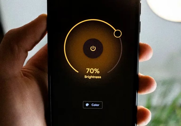 Residential IT support and smart home technology consulting.