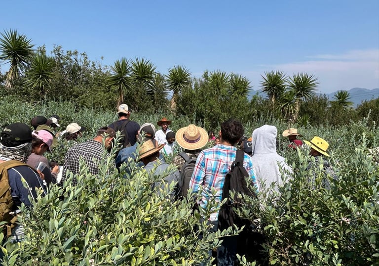 Un grupo de trabajadores agrícolas y estudiantes aprendiendo sobre agricultura sostenible 