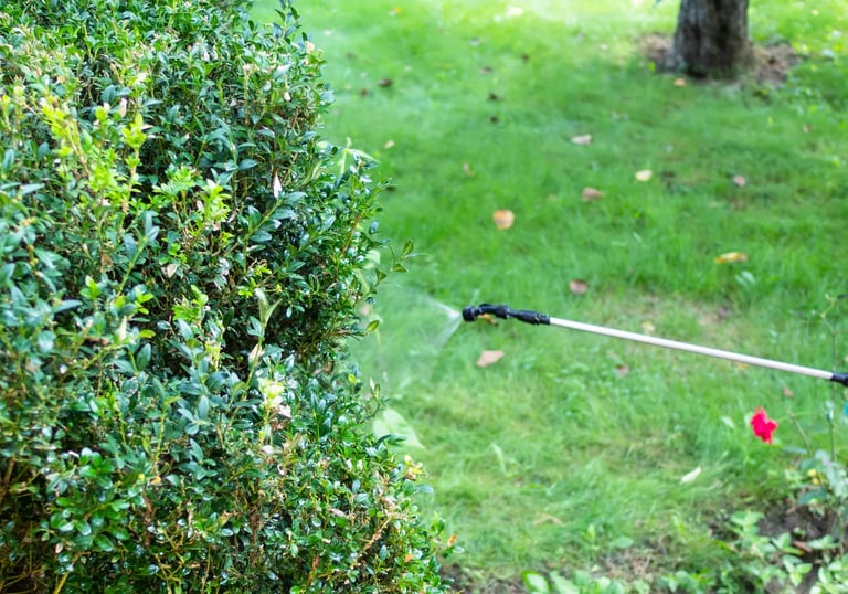 Service à domicile chez vous de nettoyage, entretien désinfection, désodorisation espace extérieur