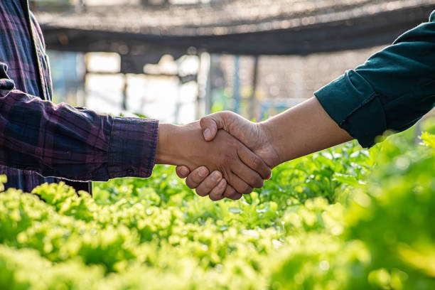 2 people shaking hands in outdoor setting, symbolising a sustainable partnership.