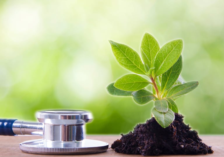 Planta e estetoscópio